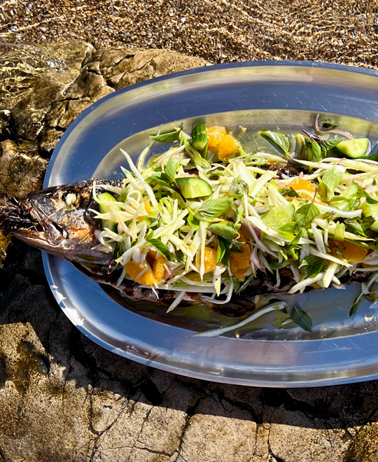 Grilled meagre + fennel & citrus salad by Laurent Dagenais