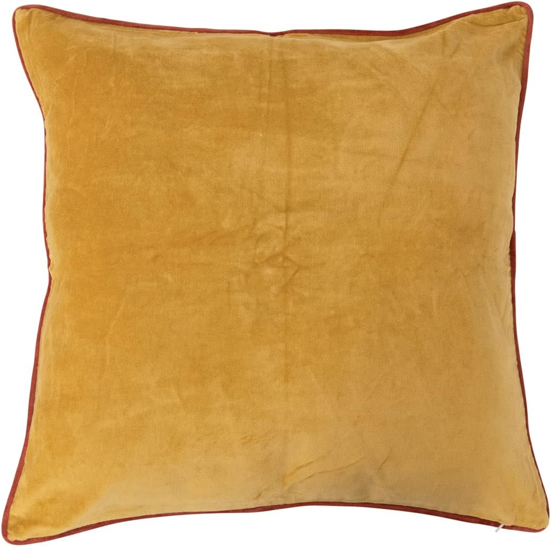 Coussin en velours