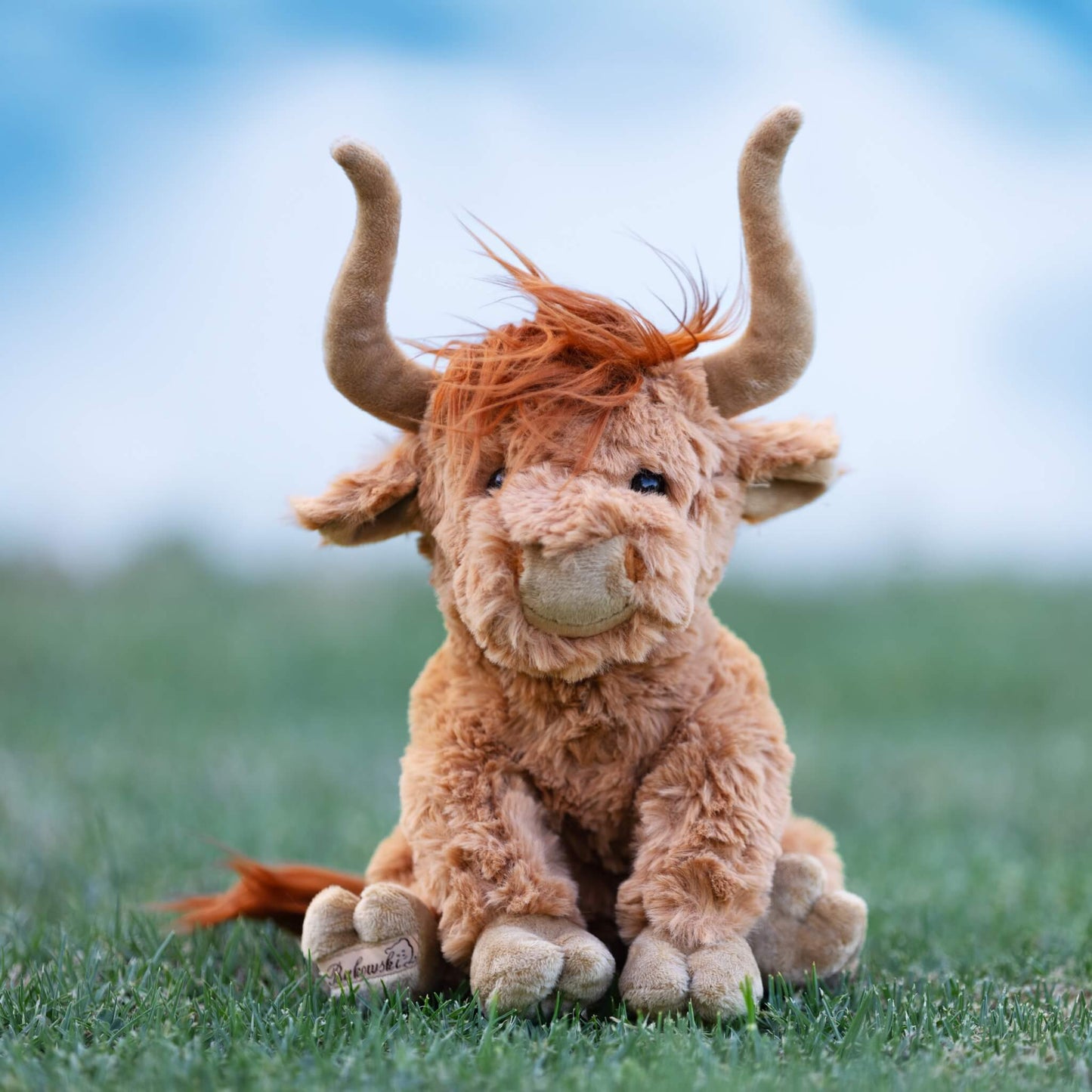 Plush | Henderson