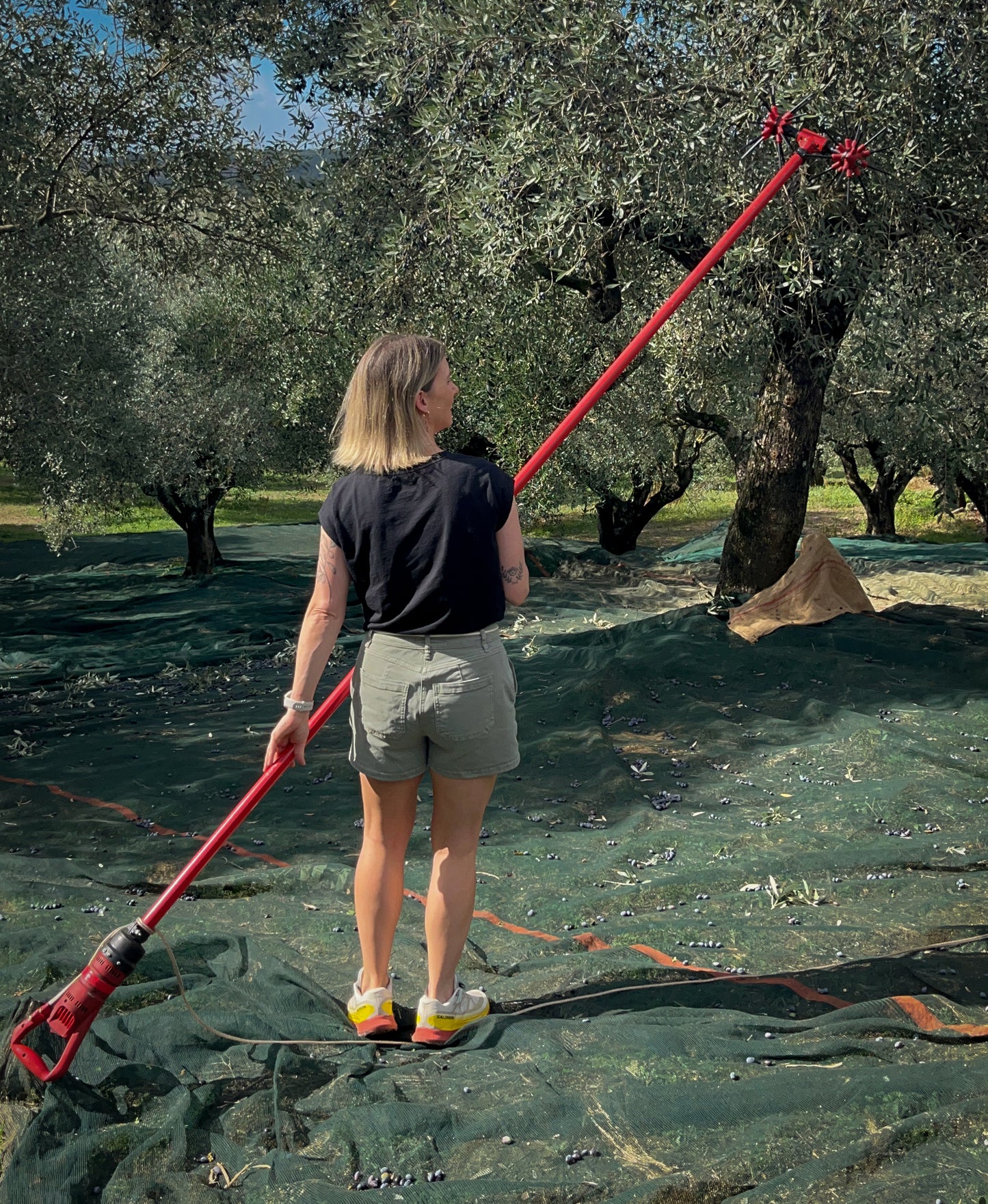 Extra Virgin Crude Olive Oil