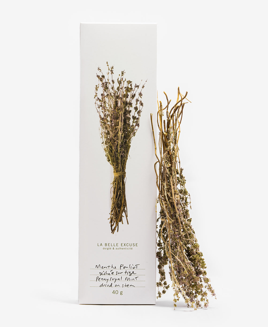 Pennyroyal Mint Dried on Stem