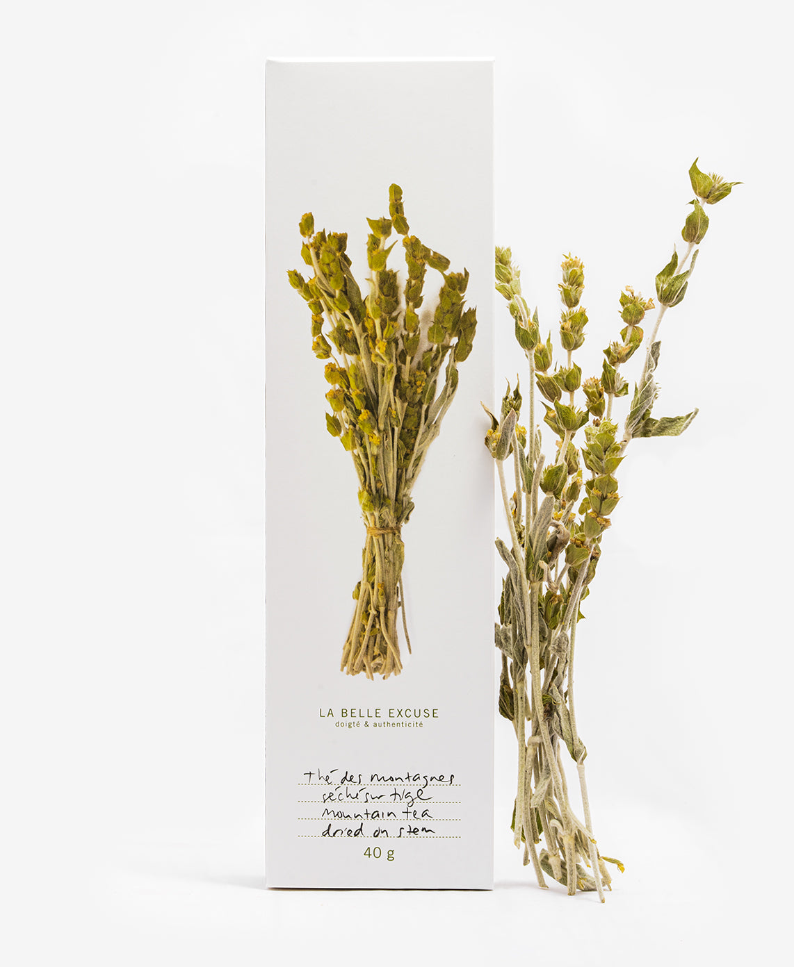 Mountain Tea Dried on Stem
