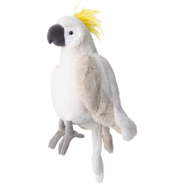 Peluche | Mango